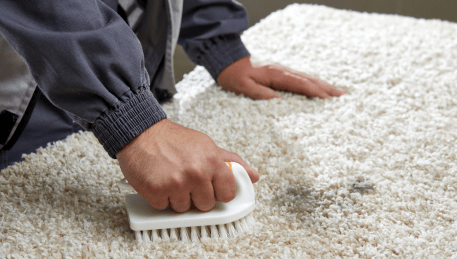 Professional Rug Cleaning Glen Waverley