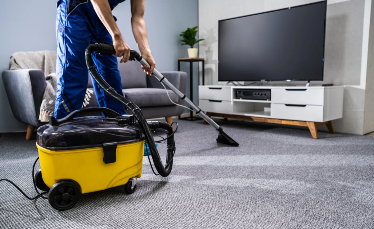 Extract Rug Cleaning Glen Waverley Contact Office